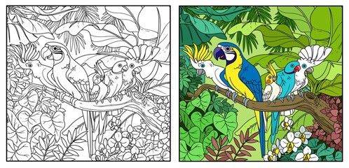 Cute parrots of different breeds sits on branch in wild jungle color and black contour line drawing for coloring on a white background © Azuzl