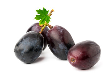 Blue grapes with leaf on a white. closeup