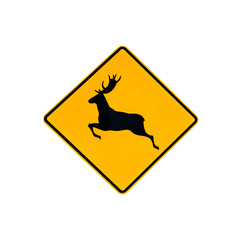Australian wildlife warning road sign for deers on the road and highways of Australia. Isolated on white.