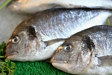 fish that has been caught in the sea