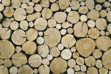 Wood logs background. Toned image.