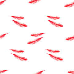 Watercolor seamless pattern of bright red scarlet bird feathers of different size isolated on white background