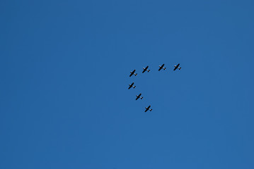 Seven Black airplanes flies up in blue sky