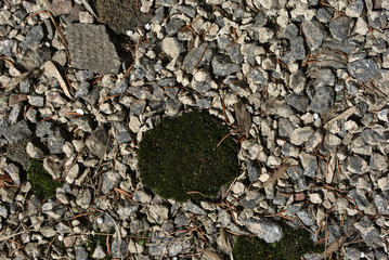 Gray crushed stones with dark green moss, background texture, top view