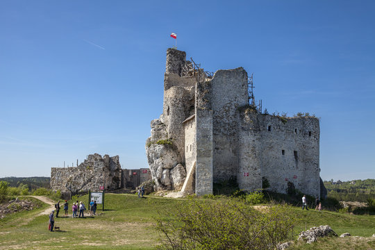 Ruins of the castle in Mirow next to castel in Bobolice. Castle in the village of Mirow. The Trail of the Eagles' Nests in Poland.