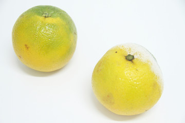 Orange, fruit, São Paulo, Brazil