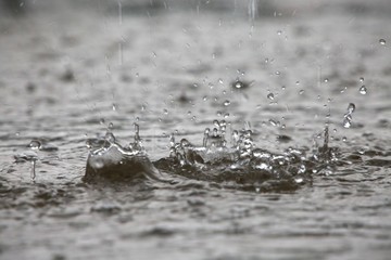 Closeup of Raindrops Splattering on Pavement During a Torrential Downpour in Florida in June