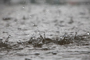Closeup of Raindrops Splattering on Pavement During a Torrential Downpour in Florida in June