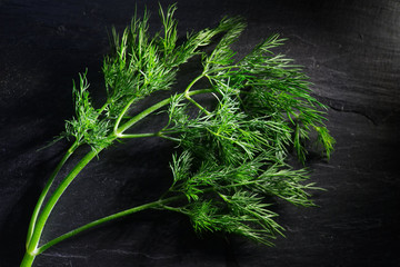 Sprig of dill on a black background. Selective focus.