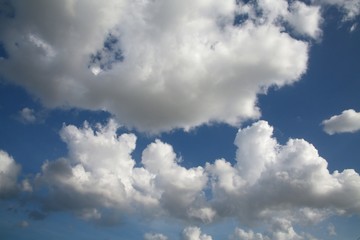 Fluffy Billowy Cumulus Clouds in the Blue Summer Sky in Florida