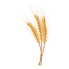 Eco wheat icon. Realistic illustration of eco wheat vector icon for web design isolated on white background