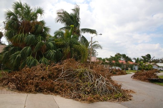Piles of fallen tree branches line up a neighborhood street in Boca Raton, Florida after Hurricane Irma.