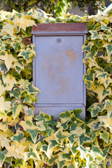 Grey metal mailbox surrounded with green and yellow leaves. Outdoor decor