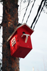 Wooden lodge for birds of red color on a tree trunk.