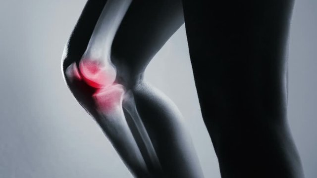 Human knee joint and leg in x-ray with screen ripple and noise for electronic displays of medical equipment or pc tablet. The knee joint is highlighted by red colour.
