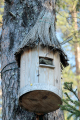 The nesting box, wooden lodge for birds on a tree trunk.