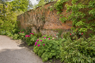 Spetchley Gardens Worcester