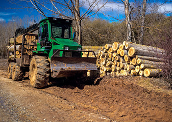 Timber tractor, vehicle equipment for mechanized forestry