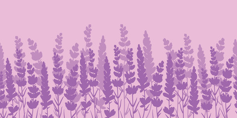 Lavender flowers purple border seamless pattern. Beautiful violet lavender flowers retro background and borders. Elegant fabric on light background. Surface pattern design. - 204576149