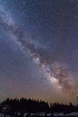 Fototapeta na wymiar Milky Way above tree line