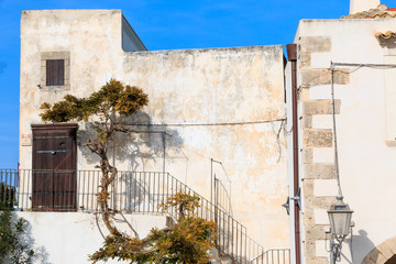 Italy, Foggia, Apulia, SE Italy, Gargano National Park,Vieste. Old city house with vines.