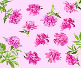  Set of many pink peonies © epitavi