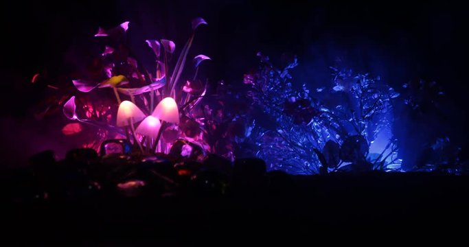 Three fantasy glowing mushrooms in mystery dark forest close-up. Beautiful macro shot of magic mushroom or three souls lost in avatar forest. Fairy lights on background with fog. Slider shot.