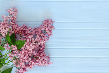 blue tree, background, with lilac branches