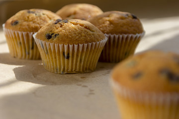 Homemade cupcakes with chocolate lit by the morning sun from the window.