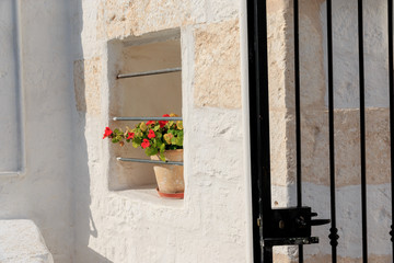 Fototapeta na wymiar europe, Italy, SE Italy, Ostuni. Nasturtiums in window pot. Iron Gate.