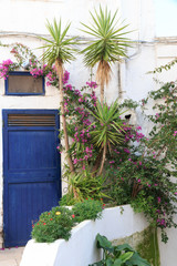 Italy, SE Italy, Ostuni. Narrow, arched old town . Blue Doorways.The 