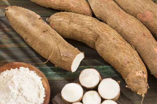 Cassava raw tuber - Manihot esculenta