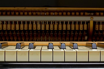Grand piano keyboard detail with visible mechanic and hammers inside the piano