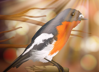 A Bird on Sunlight in Forest