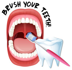 Human Mouth and Teeth Brush