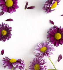 Flowers frame background, copy space