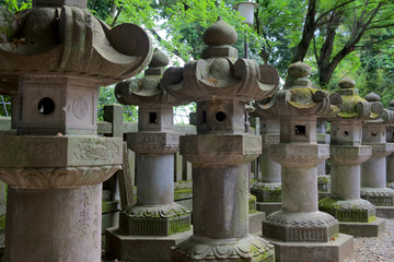仙波東照宮の境内に並んだ灯篭