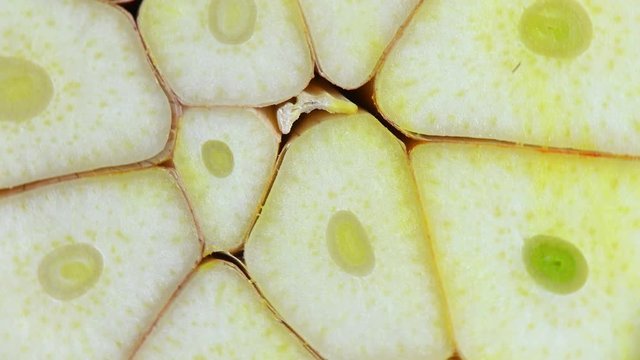 rotating garlic top view