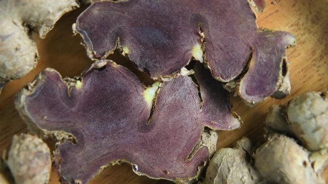 Black Galingale on wood