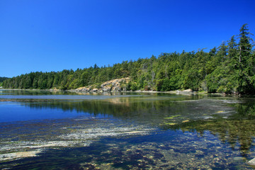 Coastline, Victoria, BC, Canada