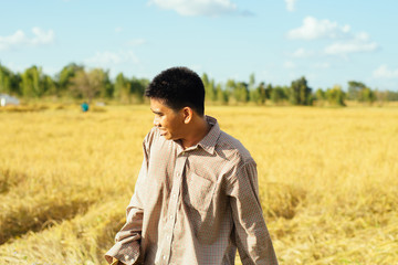 Brown Skin Farmer And His Rice Field