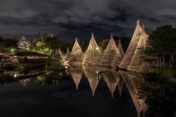 白鳥庭園　雪吊