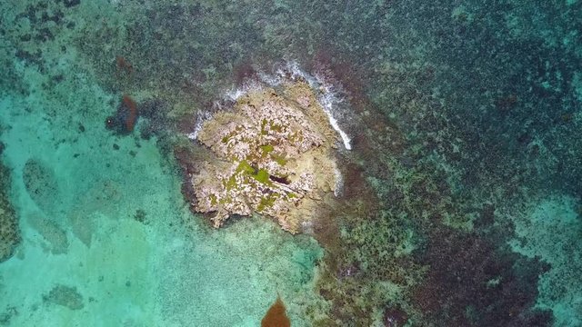Aerial drone shot. A view of the coral island from a bird's eye view. The camera looks down and rotates slowly. Turquoise water of the Caribbean Sea. Cancun Mexico.