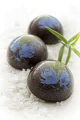 Individual handcrafted organic chocolates and pralines 