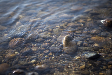 Nature concept background of closeup blurred stone in the clear river water with sunset light, peaceful and cooling concept