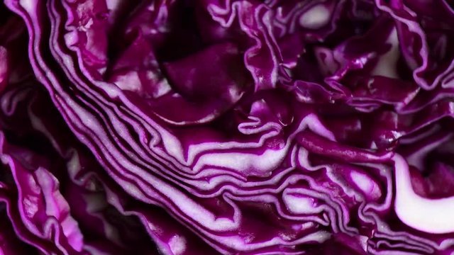 slice red cabbage rotation