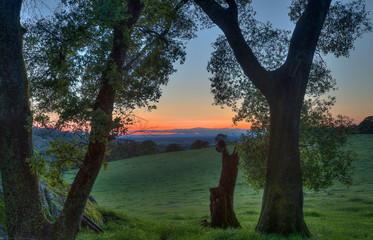 Obraz na płótnie Canvas Meadow cloud sunset 