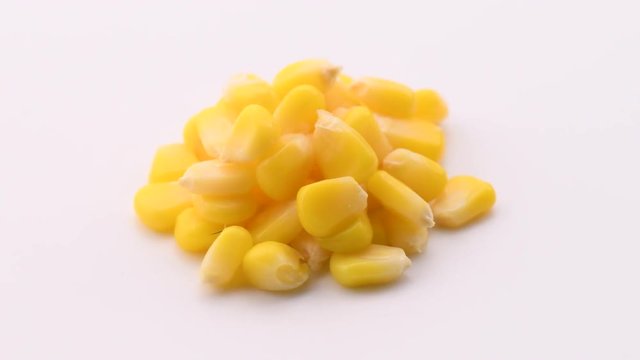 corn seeds rotation on white