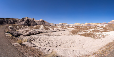 Petrified Forest National park, Arizona