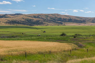 Expansive view of farm land field with tractor in central Montana.
